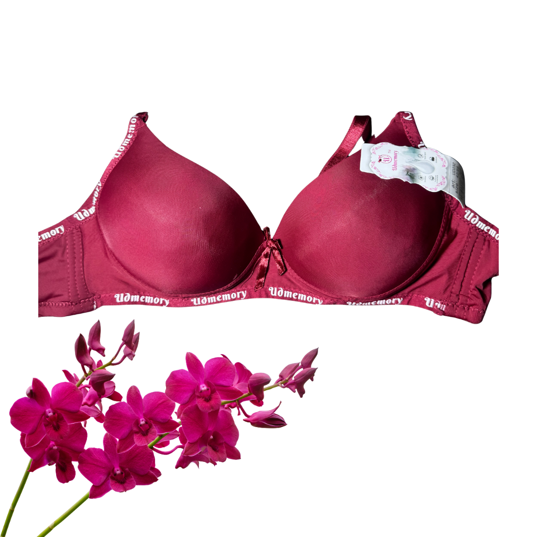 Seamless Microfiber Padded Bra – Soft & Invisible Fit